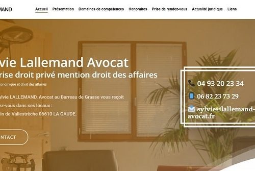 Avocat-nice Lallemand Avocat nice-min