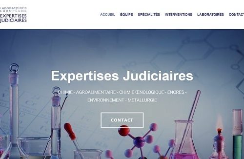 Expertise Judiciaire (8)