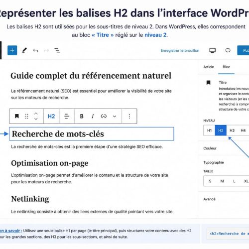 balise hn balise h1 pour le seo (1)