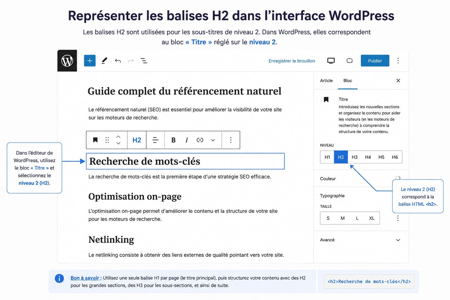 balise hn balise h1 pour le seo (1)