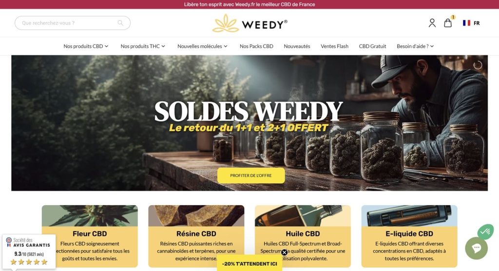 weedy projet seo florian zorgnotti