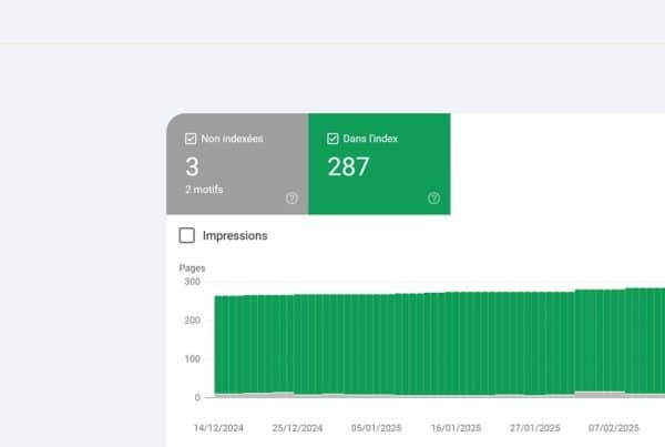 suivi de l'indexation google
