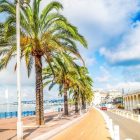 agence seo à nice