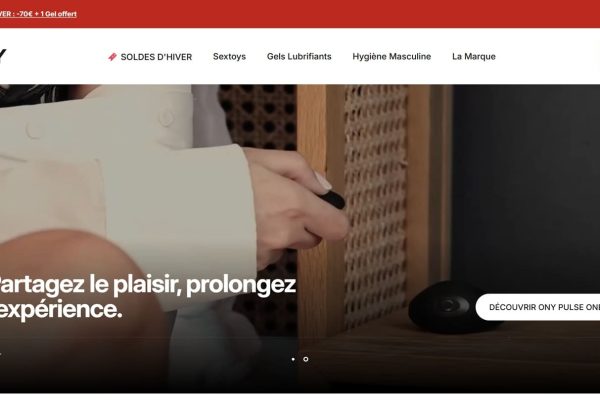 ony prestation seo 2